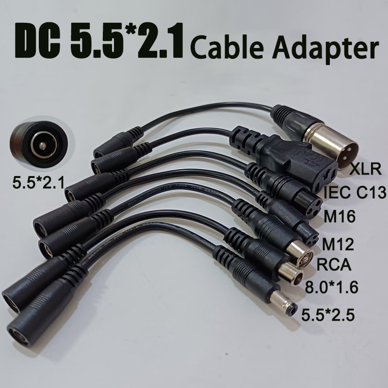 Electric Scooter Charger - DC 5.5×2.1 - M12/M16 3ピンXLR/RCA/IEC 3P
