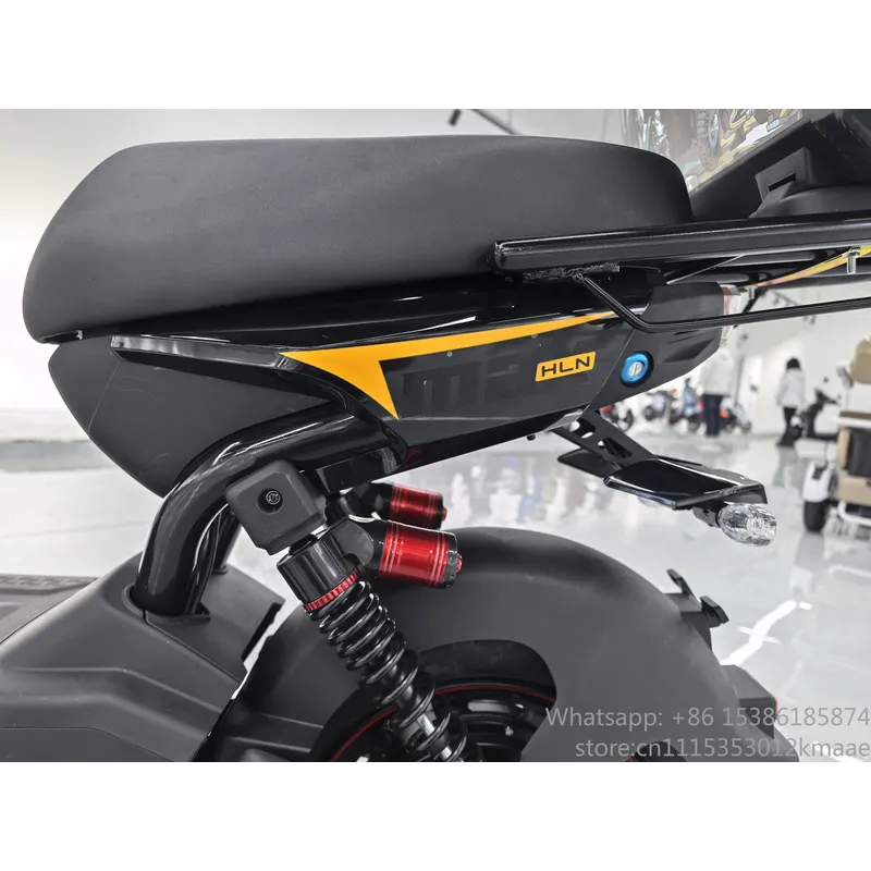 Electric Scooter Adults - 中国製 60V 電動スクーター シティバイク 750W 1000W
