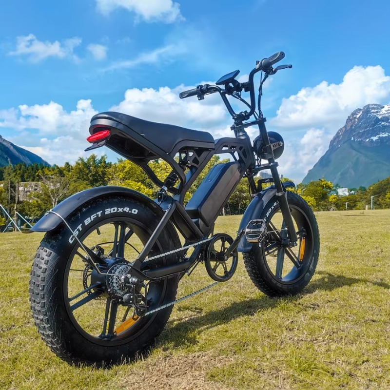 YTYIN 2024 中国製工場高品質カスタム格安電動自転車 - Electric Scooter Adults のレビューと価格