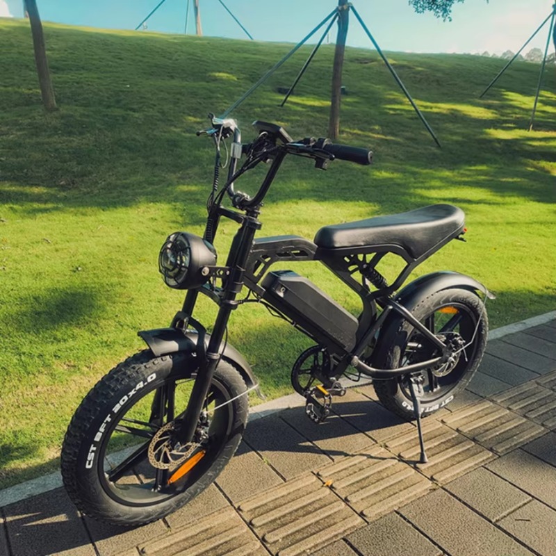 YTYIN 2024 中国製工場高品質カスタム格安電動自転車 - Electric Scooter Adults のレビューと価格