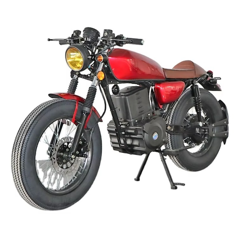 クロノワイルドカスタム大人用電動バイク高出力長距離シティスク - Electric Scooter Adults のレビューと価格